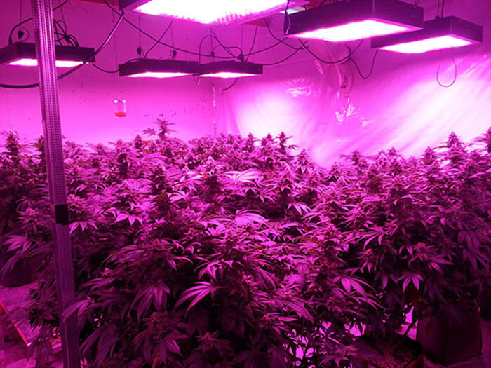 疫情之下，照明燈具企業(yè)如何求生